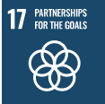 Partnerships for the goals